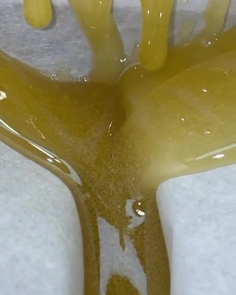Golden live rosin strings on parchment